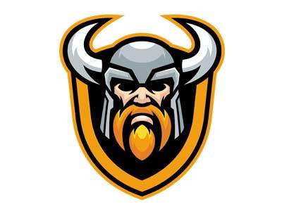 Viking Team