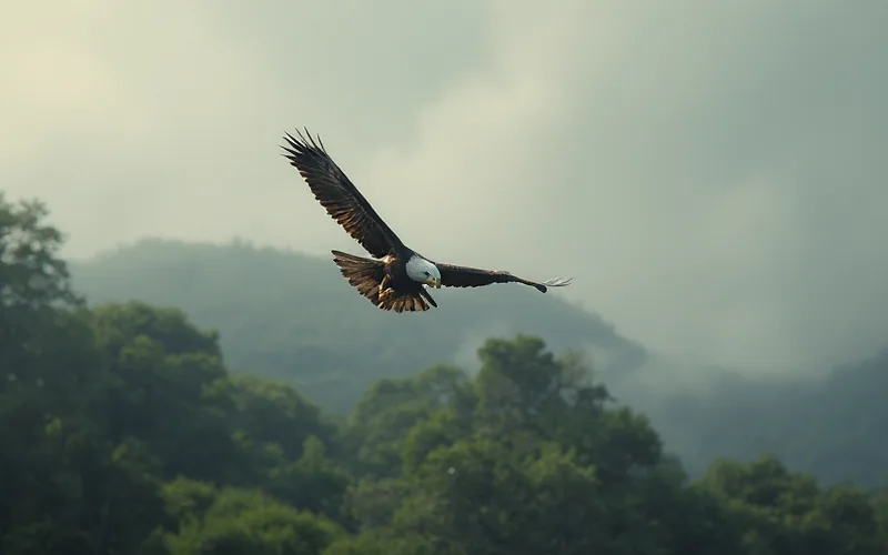 Bald Eagle: A Symbol of American Resilience and Conservation Success